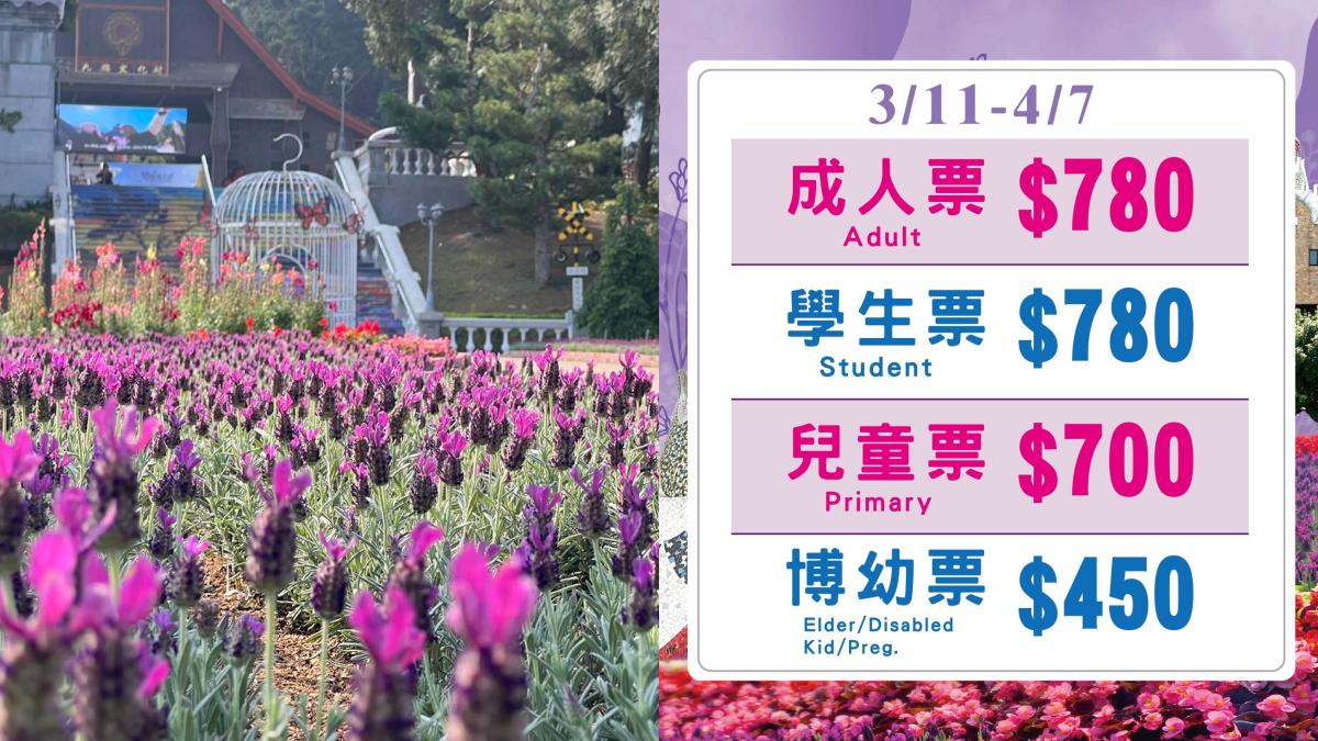 九族文化村推出「紫戀薰衣草」花季優惠,最低只要480元。(圖/九族文化村)