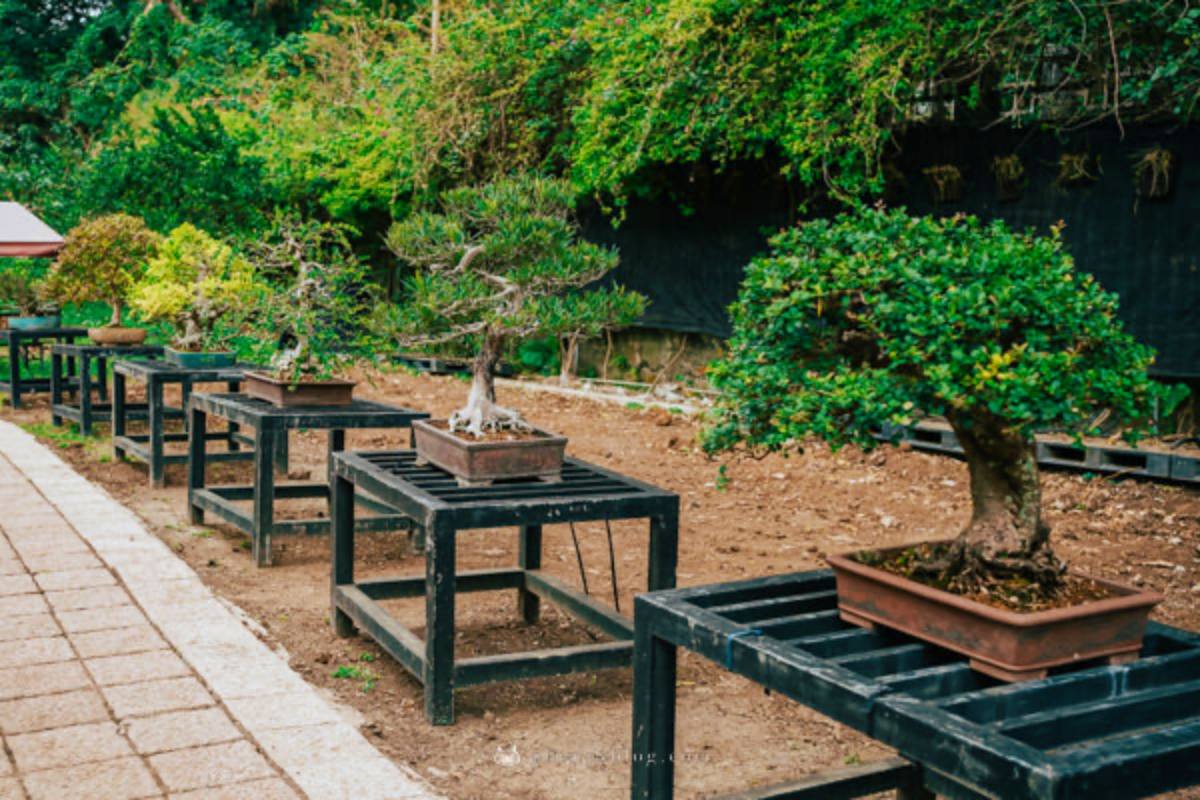 在農場小路上散步,沿途可以欣賞詩情畫意的十二景、美麗的自然盆栽景觀。(圖/胖貓咪的奇幻旅程)