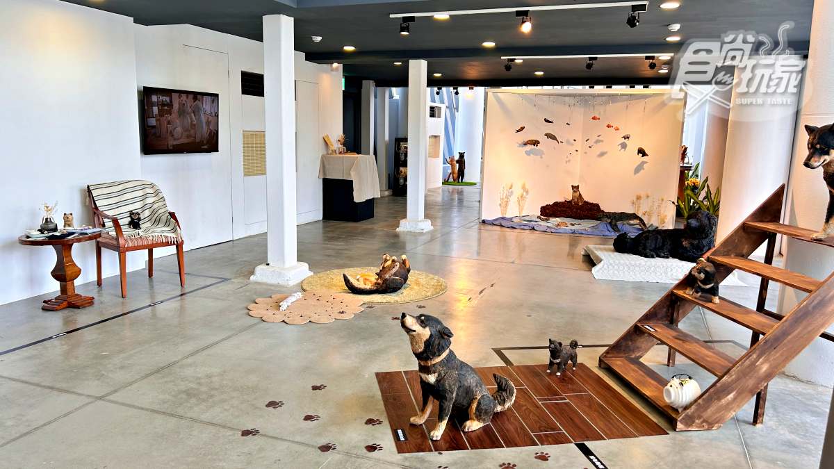 每個作品前刻意不放解說牌、不設立展示台,要讓大家體驗在家中與貓狗互動日常。(圖/陳怡璇 攝)