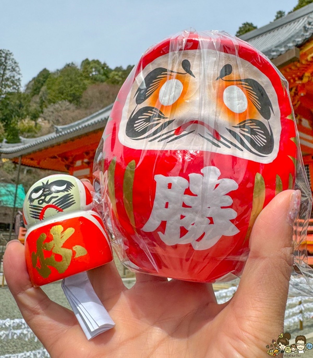 達摩籤(左,約新台幣103元)裡頭塞著籤詩,小達摩也可帶回家紀念。(圖/跟著尼力吃喝玩樂提供)