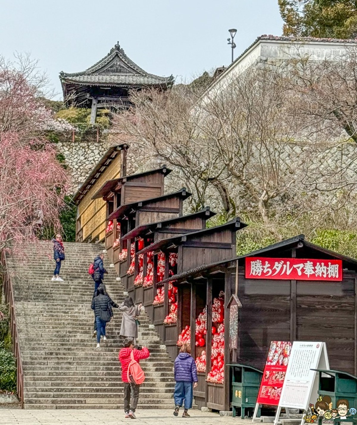 寺內沿著階梯而建的奉納架、弁財天財神的鳥居周圍都擺滿不倒翁。(圖/跟著尼力吃喝玩樂提供)