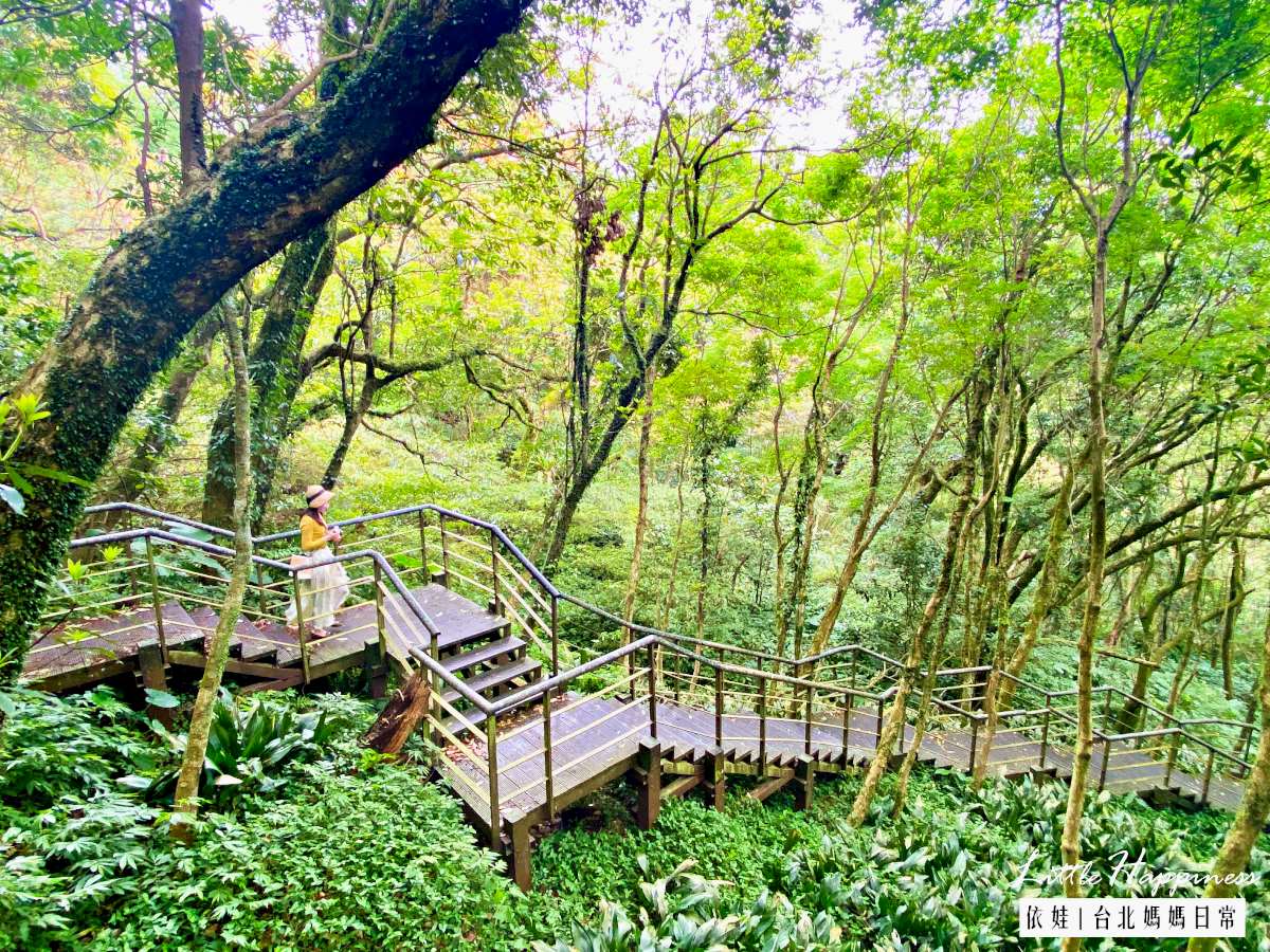 「青楓步道」全程都是木棧道階梯,一路向下很輕鬆。(圖/依娃旅行小確幸提供)