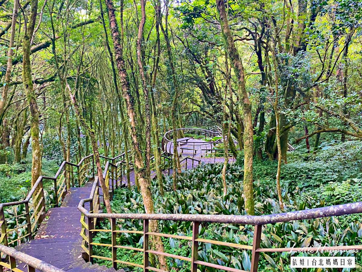 人群散去後的圓形休憩台也好美,遺世獨立在一片森林內。(圖/依娃旅行小確幸提供)
