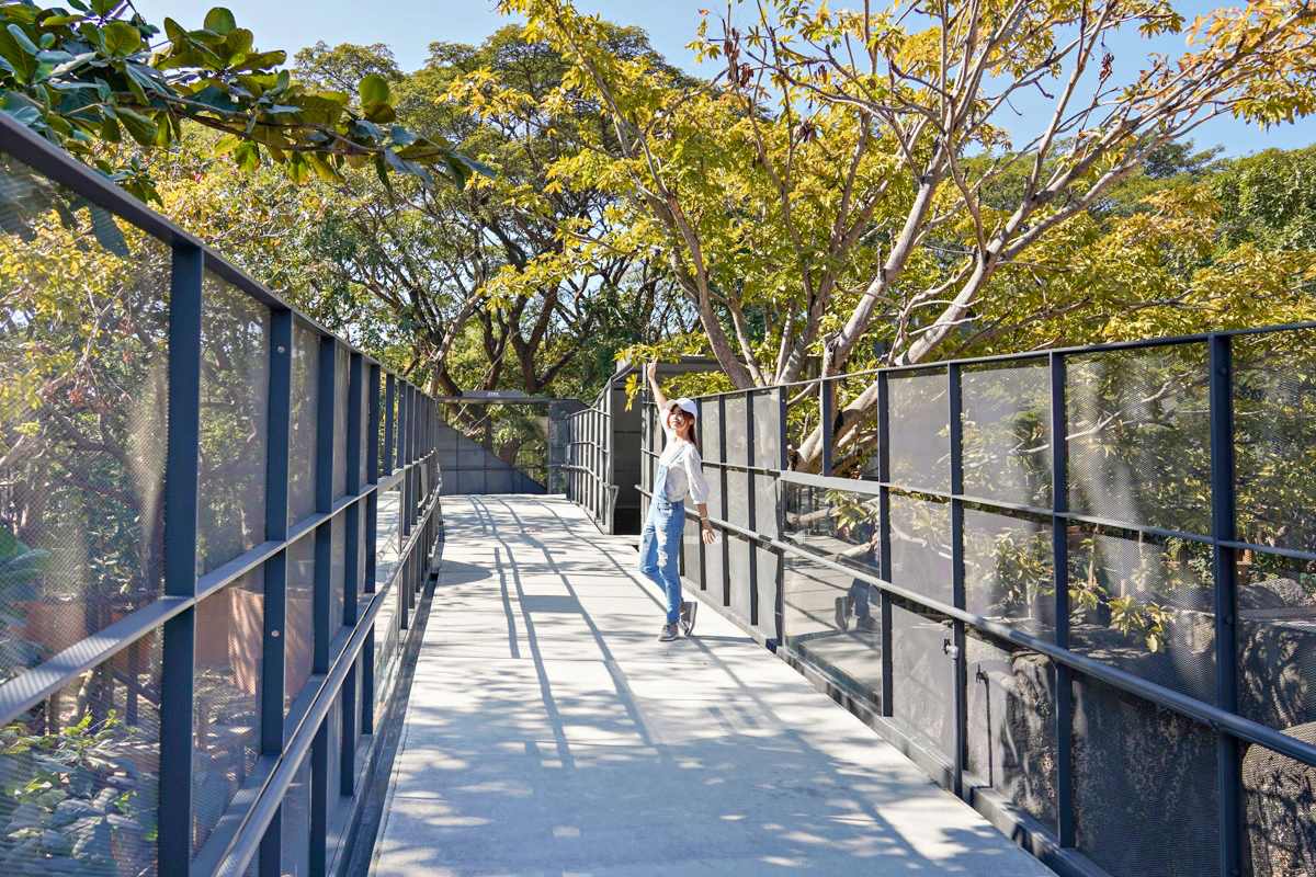動物園推出全台首創「空中廊道」。(圖/美食好芃友提供)