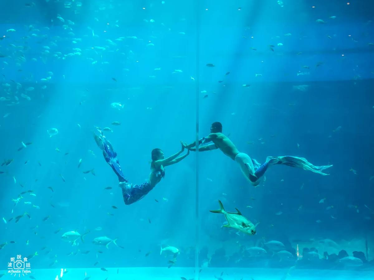 水族館最吸睛的外觀,竟然就是1隻大海龜造型,每天都有精彩的夢幻美人魚秀。(圖/波妮說食話、旅充小日子提供)