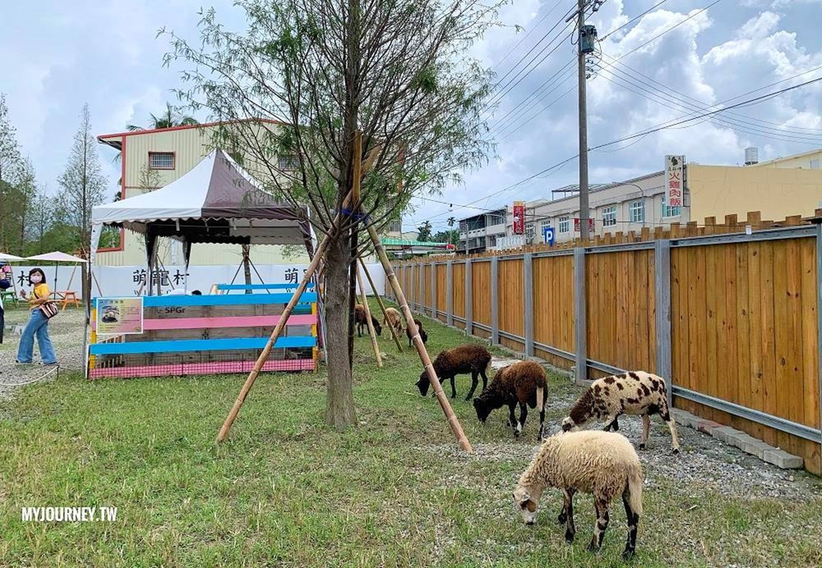 一進入動物區,首先會看到不同花色的小羊們,可以自由餵食。(圖/翻攝自食尚部落客@可大王愛旅行)