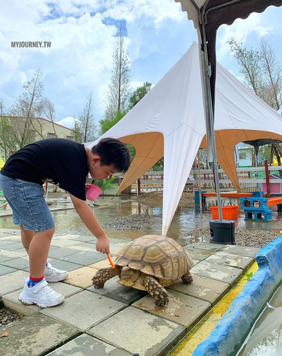 就連巨無霸陸龜也可以餵食互動喔!(圖/翻攝自食尚部落客@可大王愛旅行)