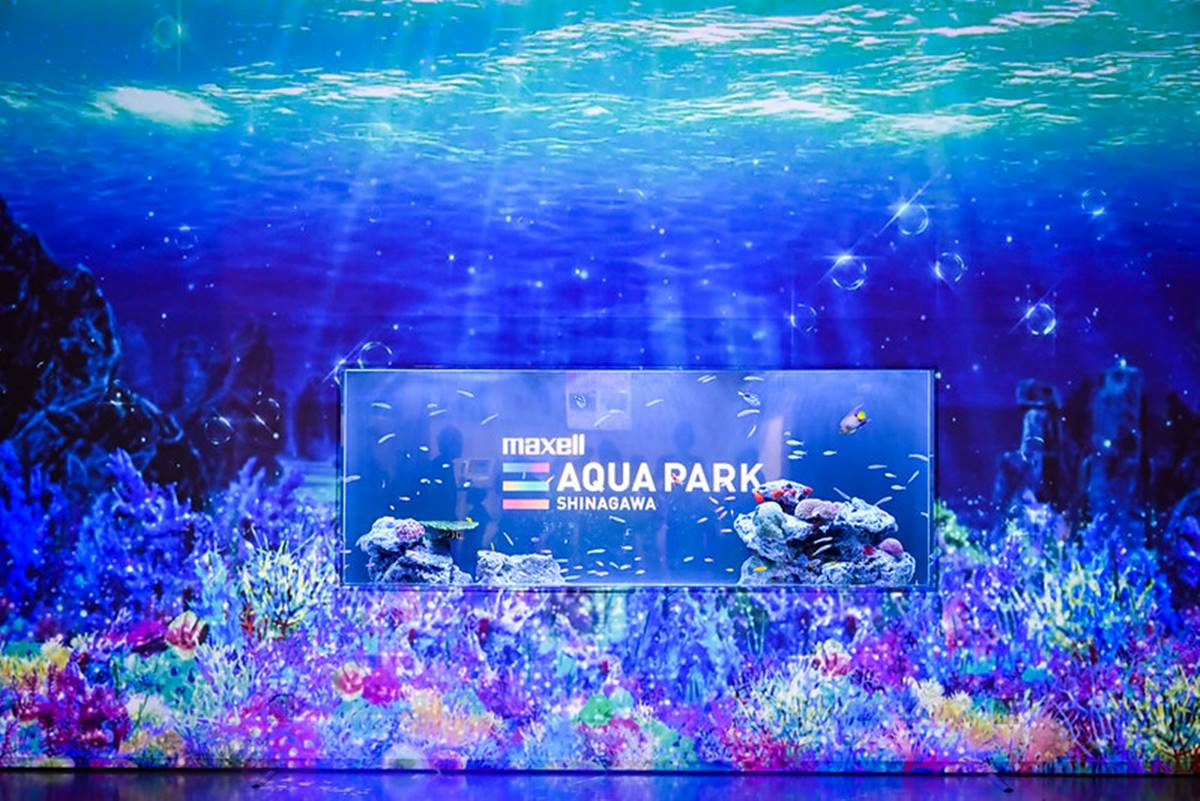 「Maxell Aqua Park Shinagawa品川水族館」交通便利，是方便到達且聲光效果超科技、時尚的水族館。（圖／ELSA菲常好攝提供）