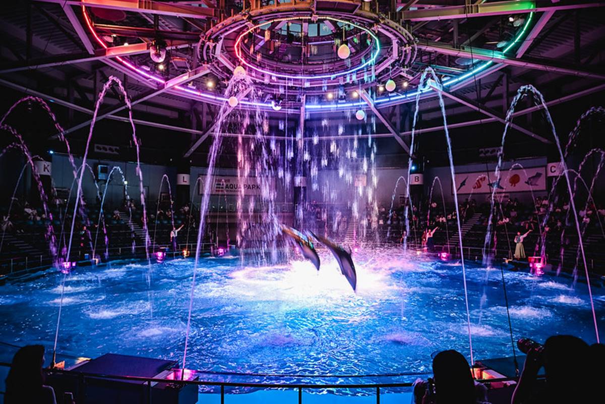 品川水族館夜間的海豚秀搭配上音樂、聲光，晚上的效果更是如夢似幻。（圖／ELSA菲常好攝提供）
