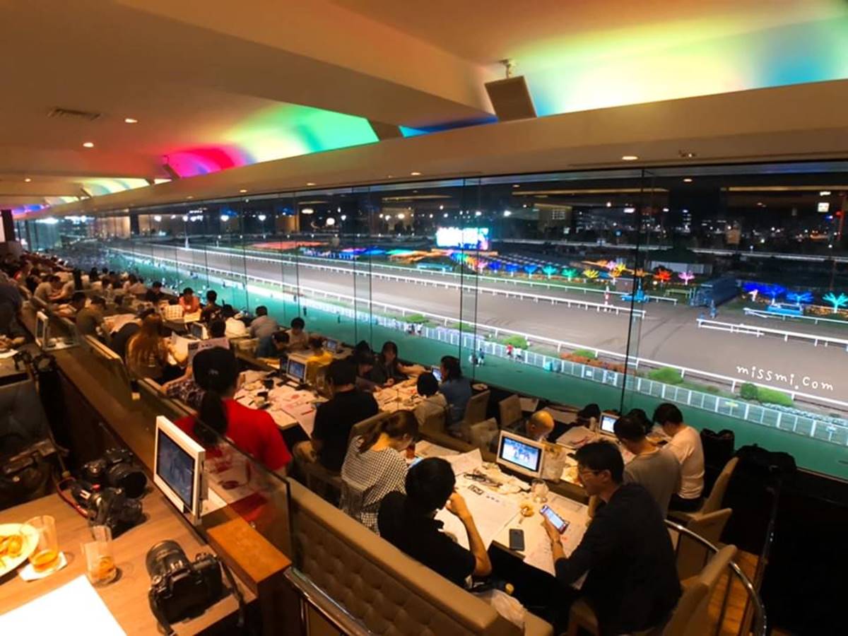 夜晚當燈光亮起,賽馬場賽道的燈光開始閃爍,馬場即刻變身成為一片璀璨的樂園。(圖/蜜絲米的散步生活提供)