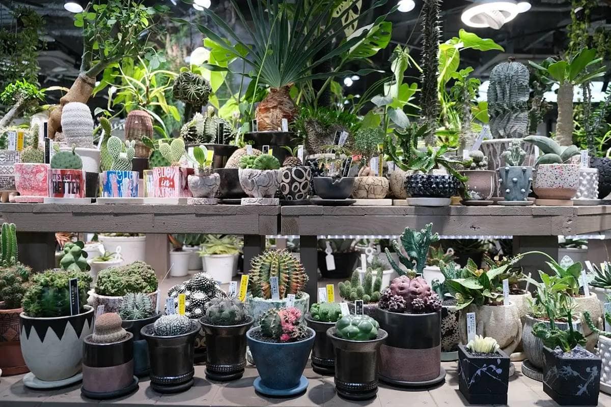 新開設的「gardens umekita by kohnan」位於北館1樓,是專注於植物與水族主題的專賣店。(圖/小不點看世界提供)