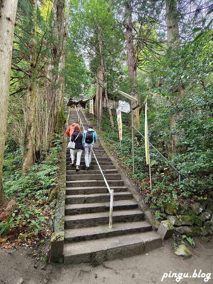 從鳥居進入神社境內,映入眼簾的是參道兩旁綠意盎然的綠樹,以及由階梯組成的參道。(圖/小企鵝生活趣提供)