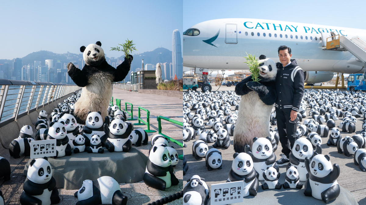 最大型熊貓展覽「PANDA GO！香港遊」，以８款全新設計的大熊貓造型，組合出2500隻大熊貓雕塑。（圖／AllRightsReserved提供）