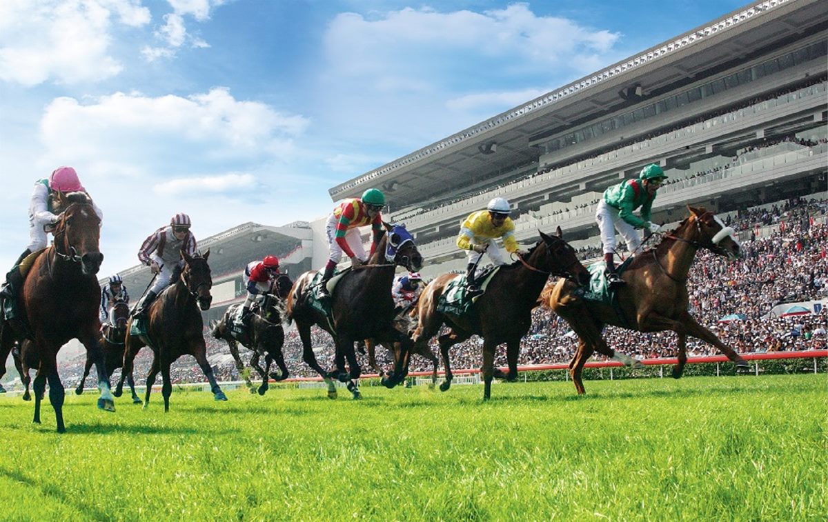 大年初三「賀年盃」賽馬活動，觀眾齊聚為新年增添福運。（圖／港旅局提供）