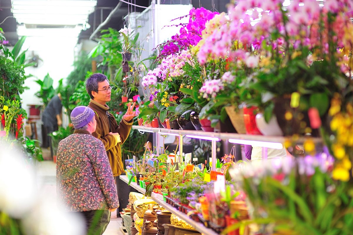 年宵花市吸引眾多遊客，繽紛花卉和熱鬧氛圍帶來濃厚的年味。（圖／港旅局提供）