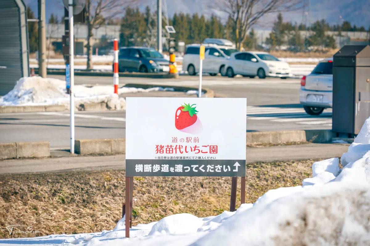 也因為在休息站中,所以往來車流比較多,路上許多告示牌提醒一定要走斑馬線,千萬不要隨意橫越車道。(圖/慢慢與Byron的旅行泡泡提供)