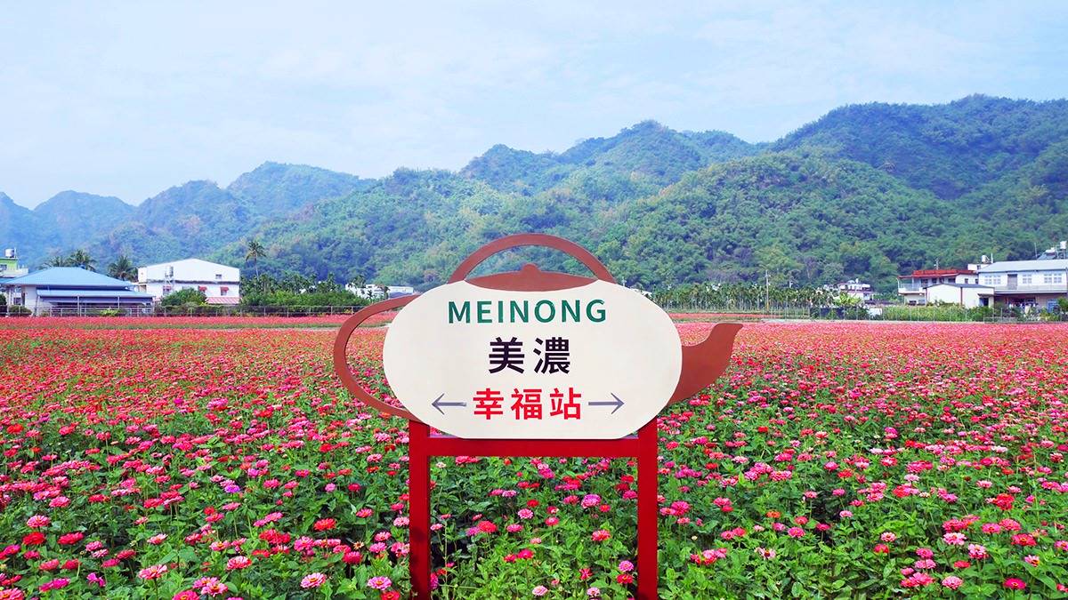 「牛角灣花區」,地點位於美濃奉茶亭旁邊。(圖/阿捷的打飯班提供)