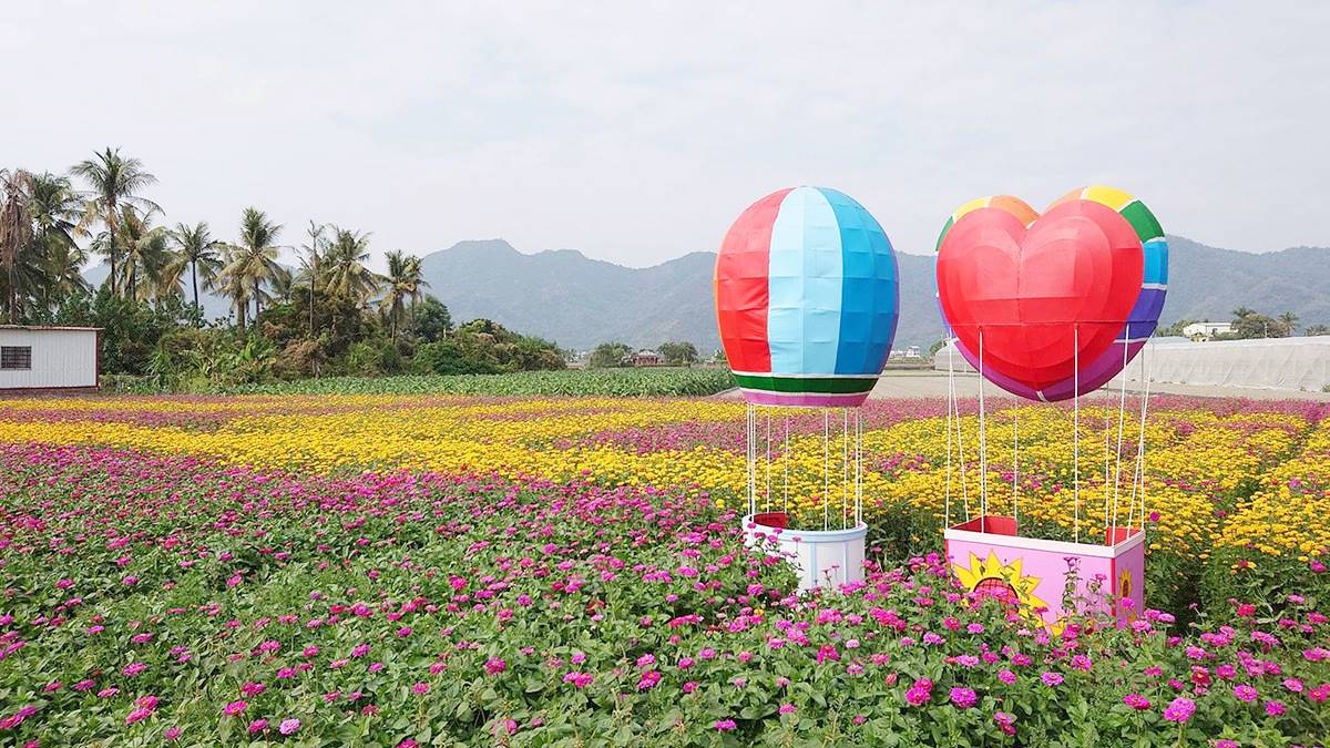 花海裡藏有熱氣球裝置藝術可拍照。(圖/阿捷的打飯班提供)