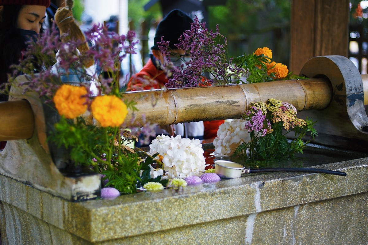 現場設有「日式祈願花手水」，每天09：00～18：00提供大家淨身祈福。（圖／桃園神社提供）
