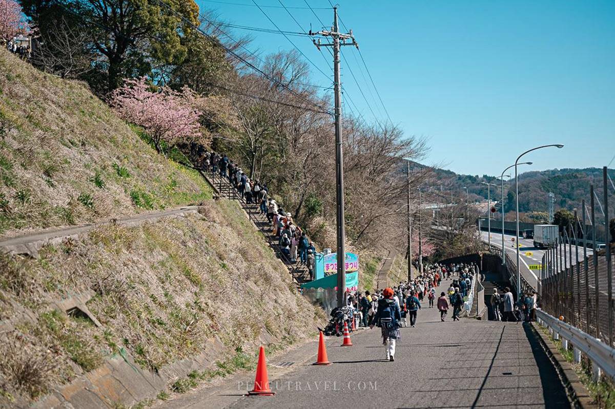 西平畑公園座落在半山腰，視野遼闊。（圖／Pengu Travel 提供）