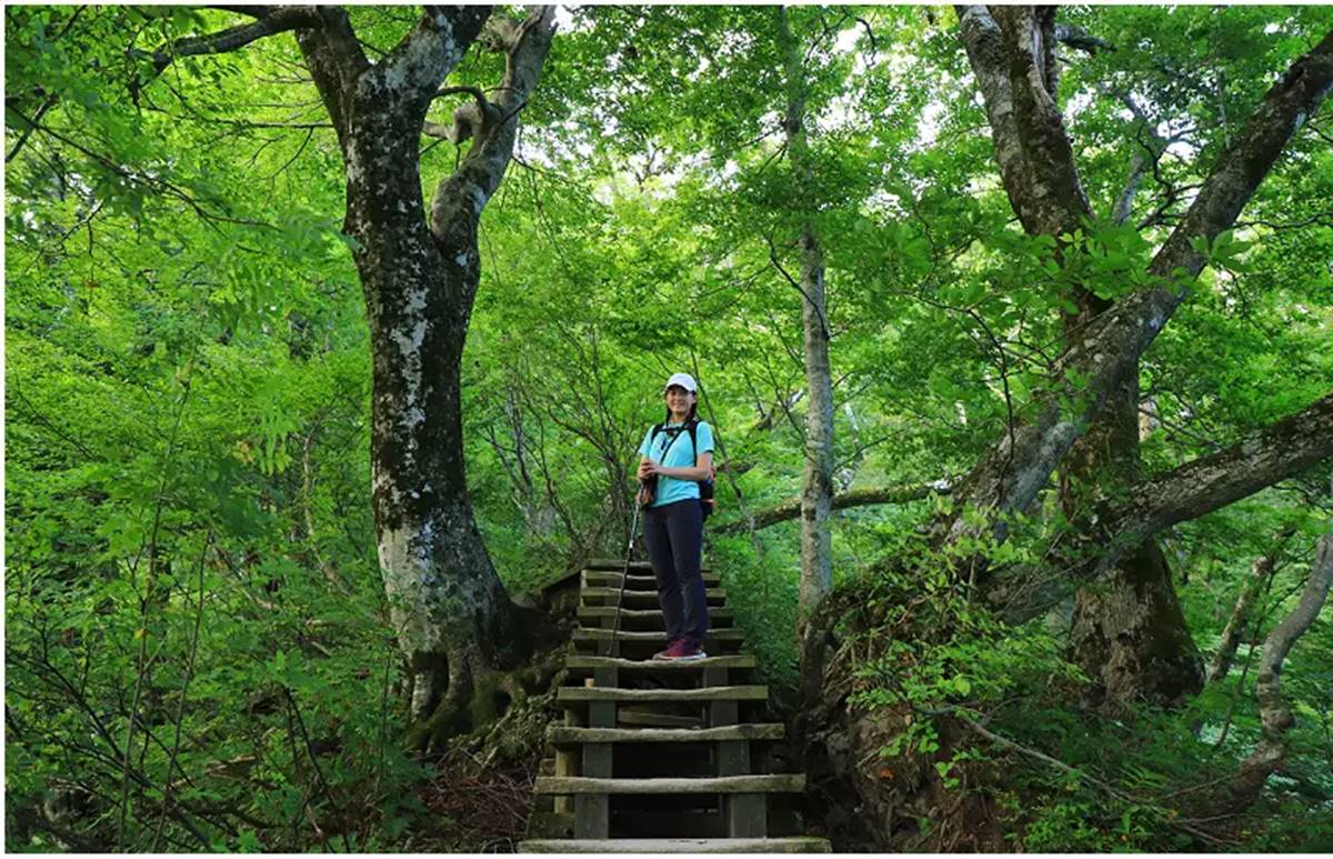 鳥取大山的春夏登山路線全長約3公里,從海拔約900公尺的夏日登山口一路往上攀升約900公尺,通常單程需時2.5至3小時。(圖/肉魯 走遍全台灣環遊全世界 提供)