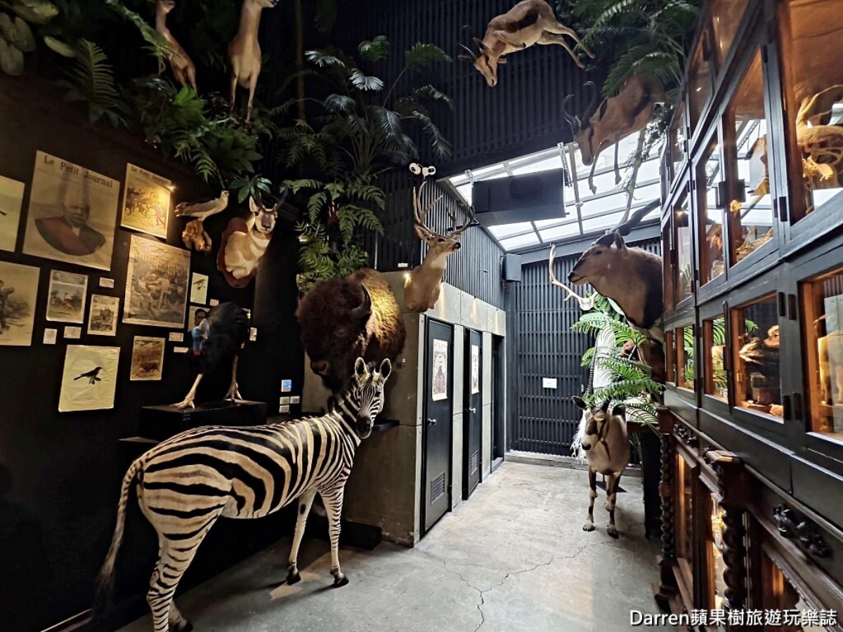 館內展示上百種動物標本，全都是國外合法來源，從大型動物到昆蟲都有。（圖／Darren蘋果樹旅遊玩樂誌 提供）