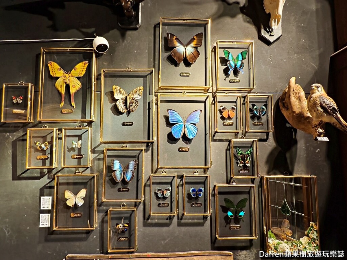 館內展示上百種動物標本，全都是國外合法來源，從大型動物到昆蟲都有。（圖／Darren蘋果樹旅遊玩樂誌 提供）