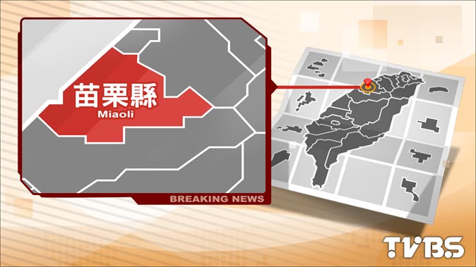 快訊／山老鼠逃逸跑上國道　被撞又被輾慘死