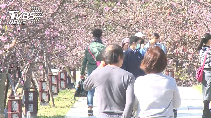 防疫期間偽出國　林智堅推薦竹市三大追櫻勝地
