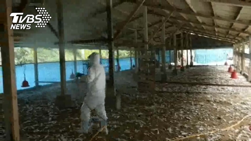 又出現禽流感確診案例！　憂病毒適應高溫