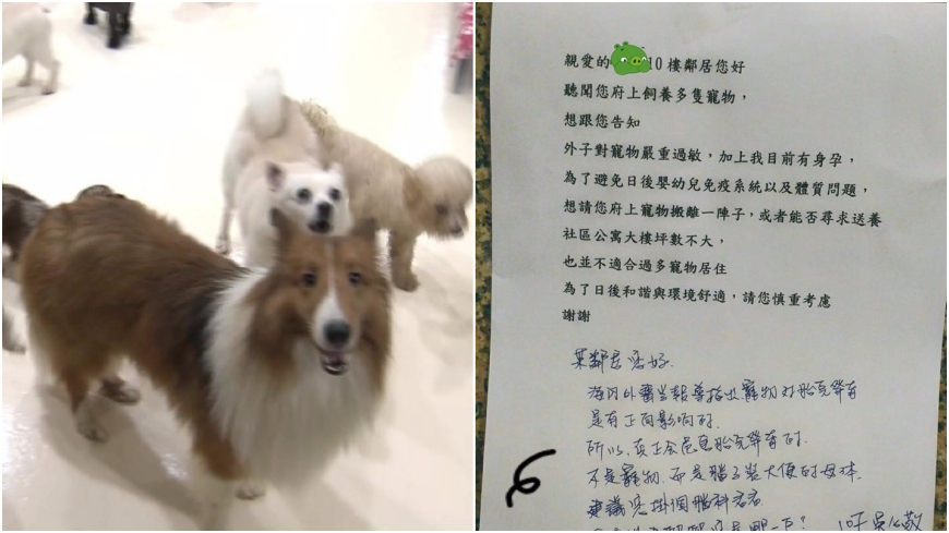 孕婦要鄰居送養寵物 飼主怒嗆「腦子裝大便」