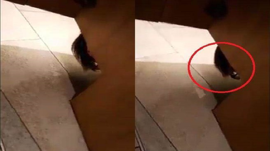 翻攝／爆料公社