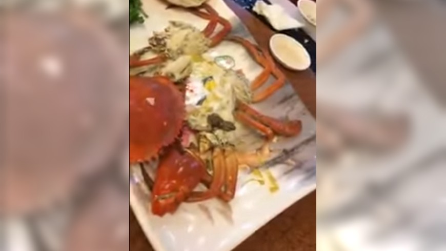 海產店坑人？　活蟹上桌變「冷凍蟹」