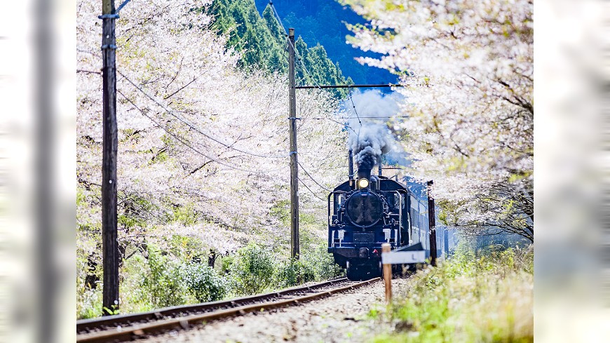 復活只2天!蒸汽火車頭D51 44年重出
