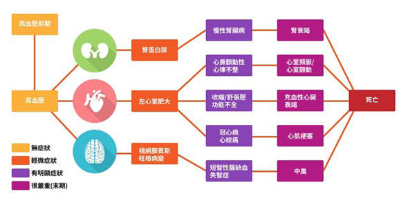 難治型高血壓吃三種藥都沒效?腎臟交感神經在作怪