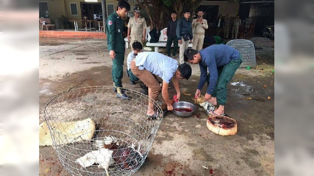 圖/取自推特