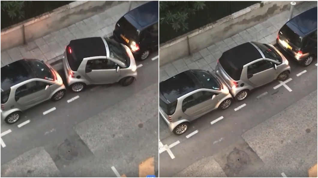 硬要擠！三寶表演「共享車位」　超高技百萬人看呆