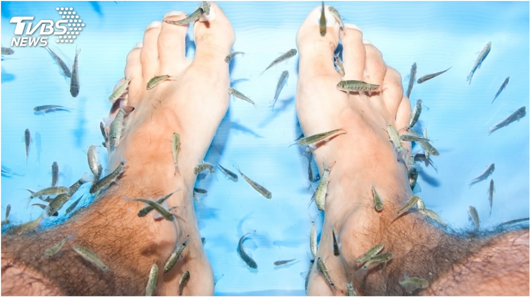 10年沒洗幾次腳！　男做足浴「整池魚臭死」