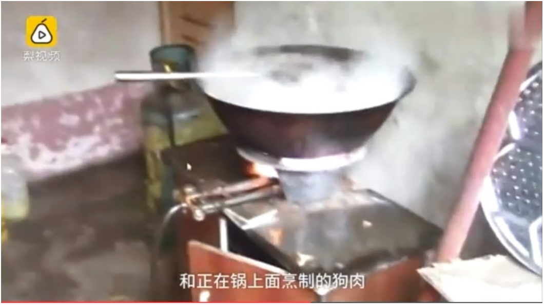 愛犬被陌生人拐走 2小時後…在鍋內煮剩張皮