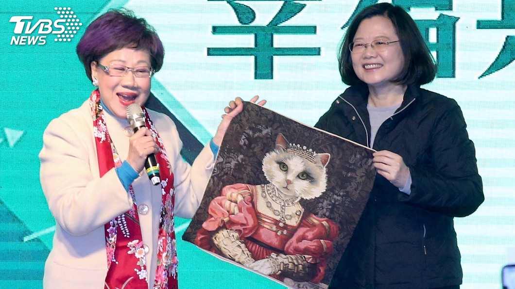 T怪客踢新聞/小英有苦難言啊