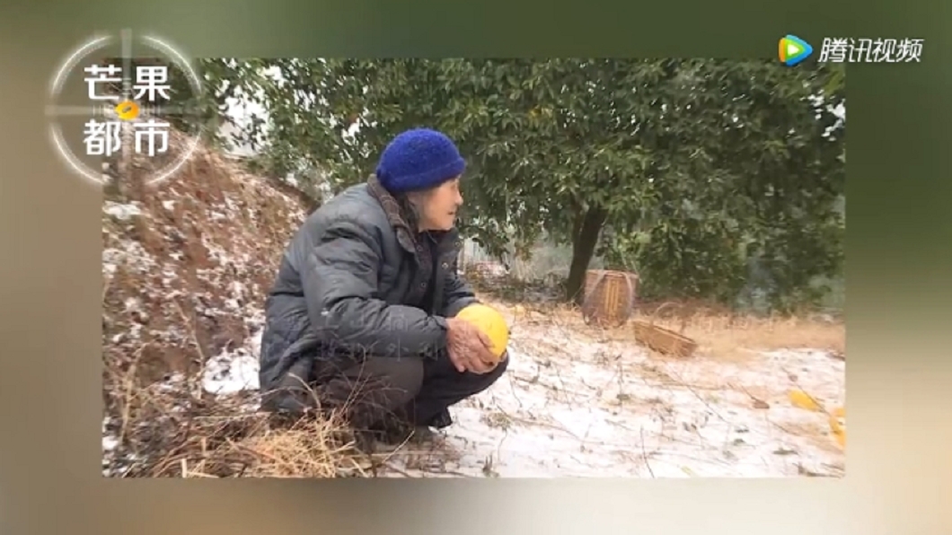 為救血癌孫女 8旬嬤每日走5公里積雪山路賣柚籌錢