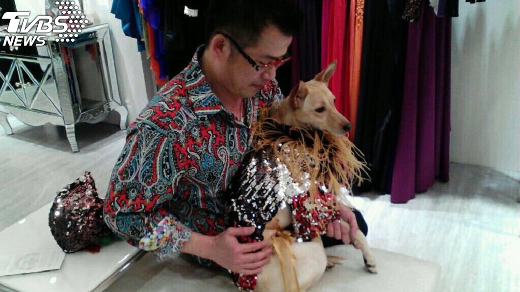 明星狗寶貝／為愛犬設計晚禮服　他砸錢拯救受虐狗
