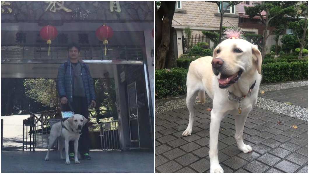 帶導盲犬遊溪頭被拒絕進入 飼主嘆:只因牠是隻狗