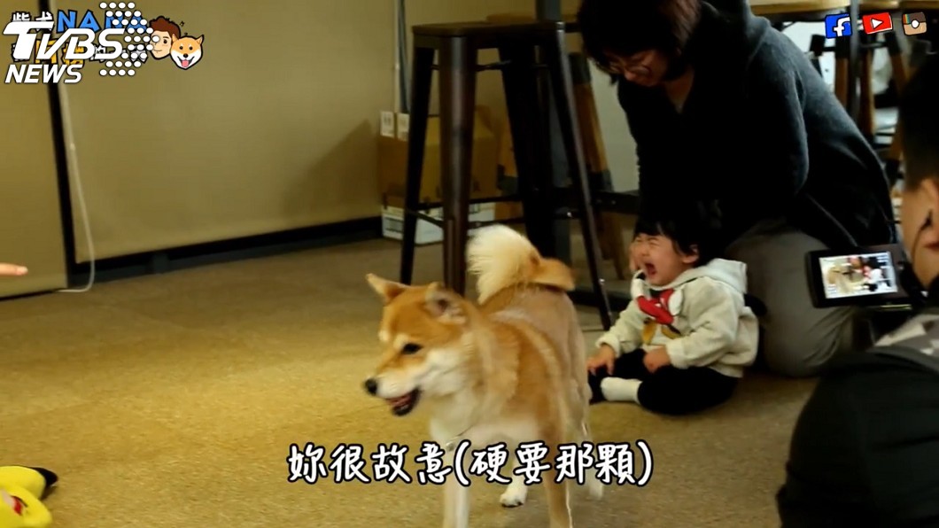 圖/聯勤公關提供