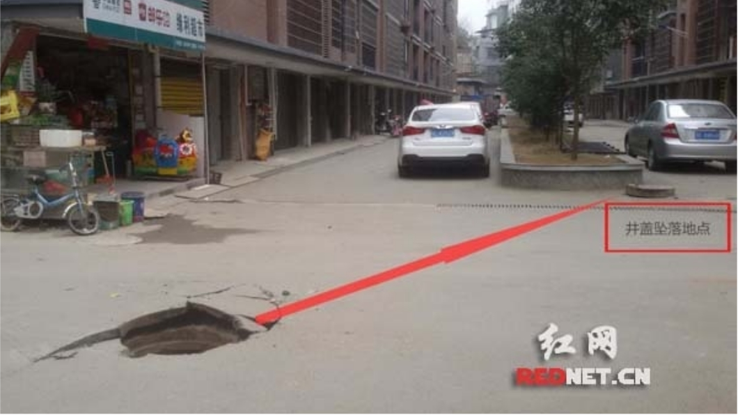 圖/網易新聞
