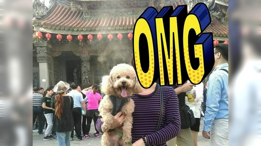 祖師廟前拍照驚見「狗頭殘影」 網驚:不只2隻…