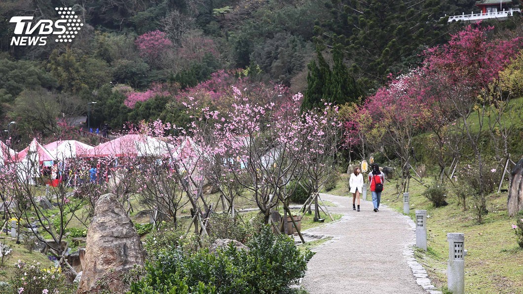 陽明山房價高誰會住? 網友點出關鍵用途
