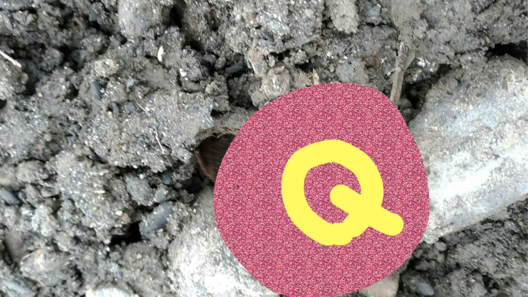 工地竟然撿到野生的「這個」!超萌Q寶網友嗨翻