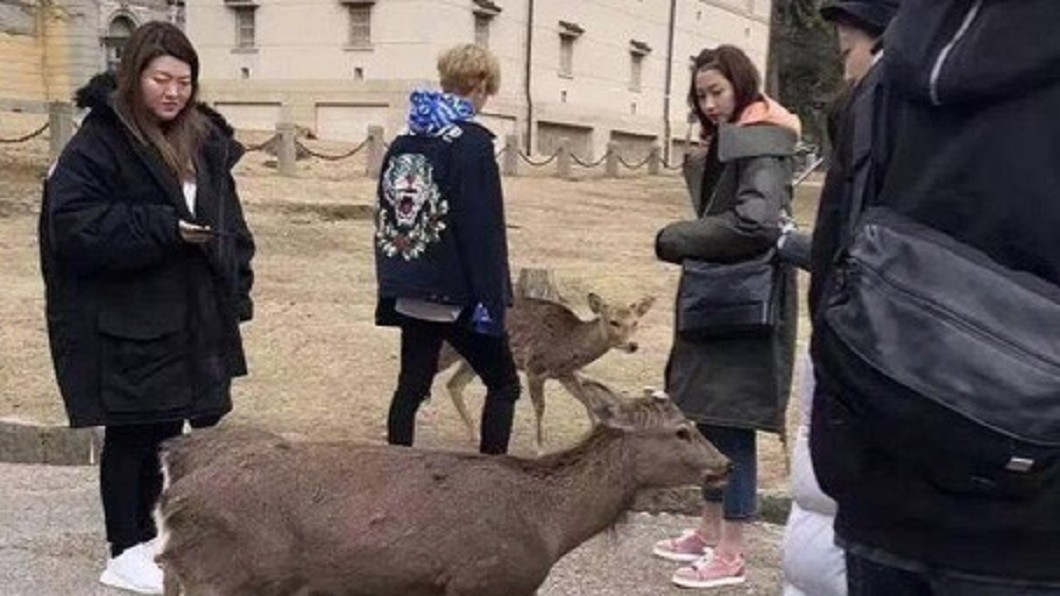 太虐單身狗! 鹿晗、關曉彤日本度假疑換衣服穿