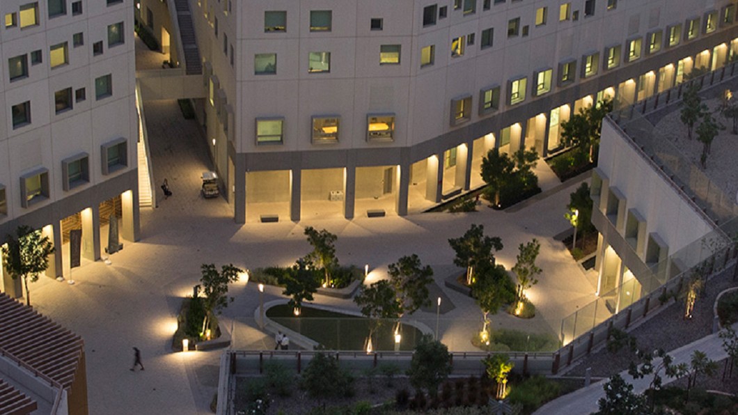 圖／NYU Abu Dhabi 官網